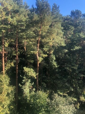 Mieszkanie 2-pokojowe Sopot Brodwino. Zdjęcie 1