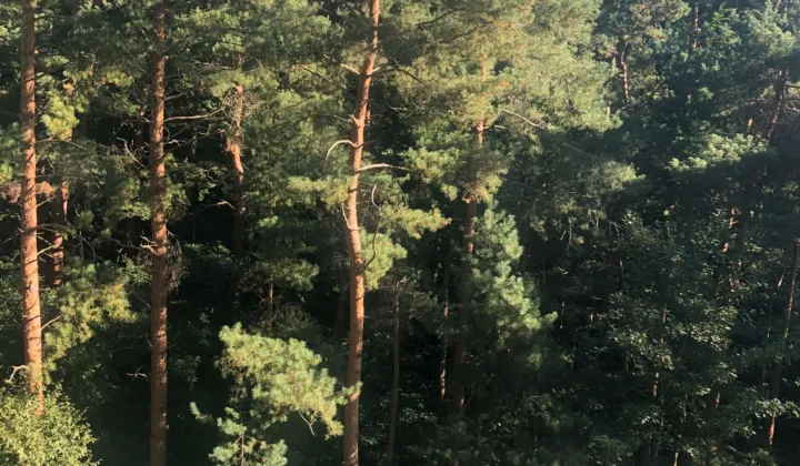 Mieszkanie 2-pokojowe Sopot Brodwino