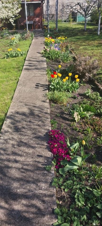 Działka rod Toruń, ul. Grudziądzka. Zdjęcie 2