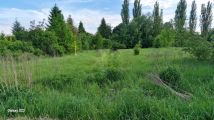 Działka budowlana Mysłowice Brzezinka, ul. Leśna