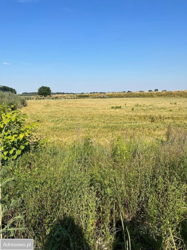 Działka budowlana Otmuchów, ul. Mostowa. Zdjęcie 5