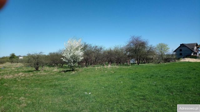 Działka rolno-budowlana Łąg, Bukowa Góra. Zdjęcie 1