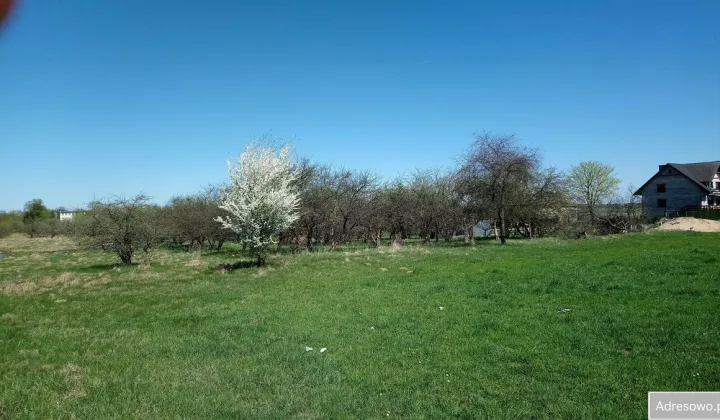 Działka rolno-budowlana Łąg, Bukowa Góra