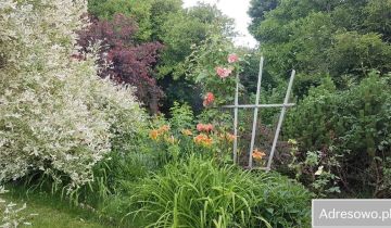 Działka rod Gdynia Cisowa, ul. Hutnicza