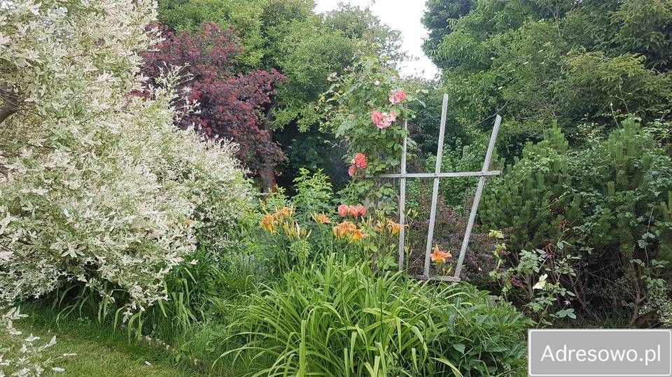 Działka rod Gdynia Cisowa, ul. Hutnicza. Zdjęcie 2