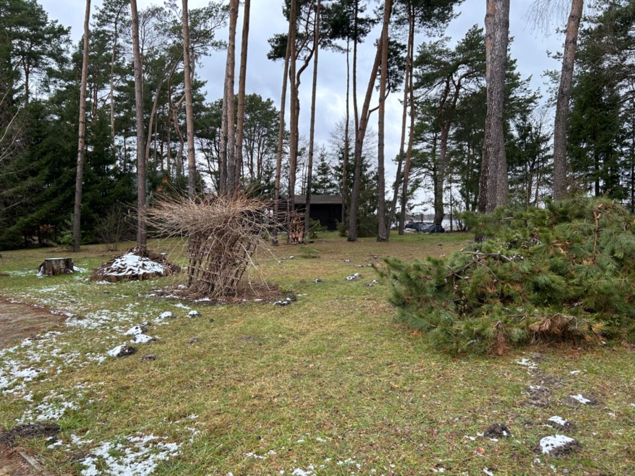 Działka budowlana Okuninka. Zdjęcie 6