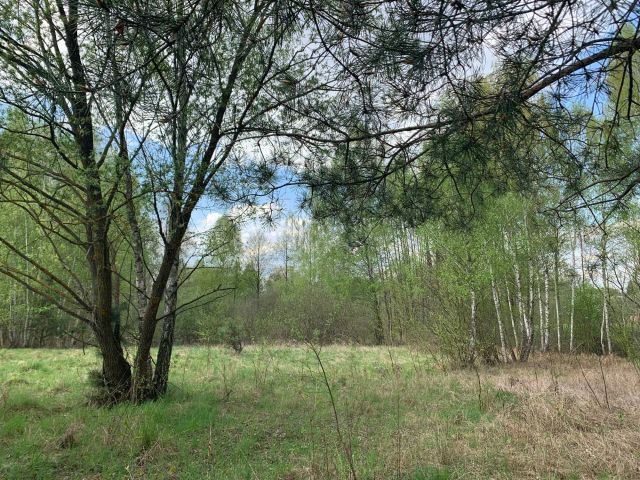 Działka budowlana Ruda-Huta, ul. Polna. Zdjęcie 1