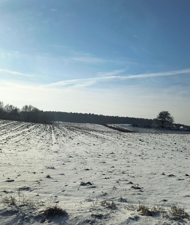 Działka budowlana Jaworze. Zdjęcie 3