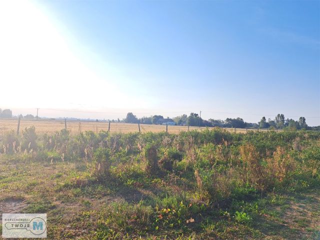 Działka rolna Czarzyzna. Zdjęcie 4