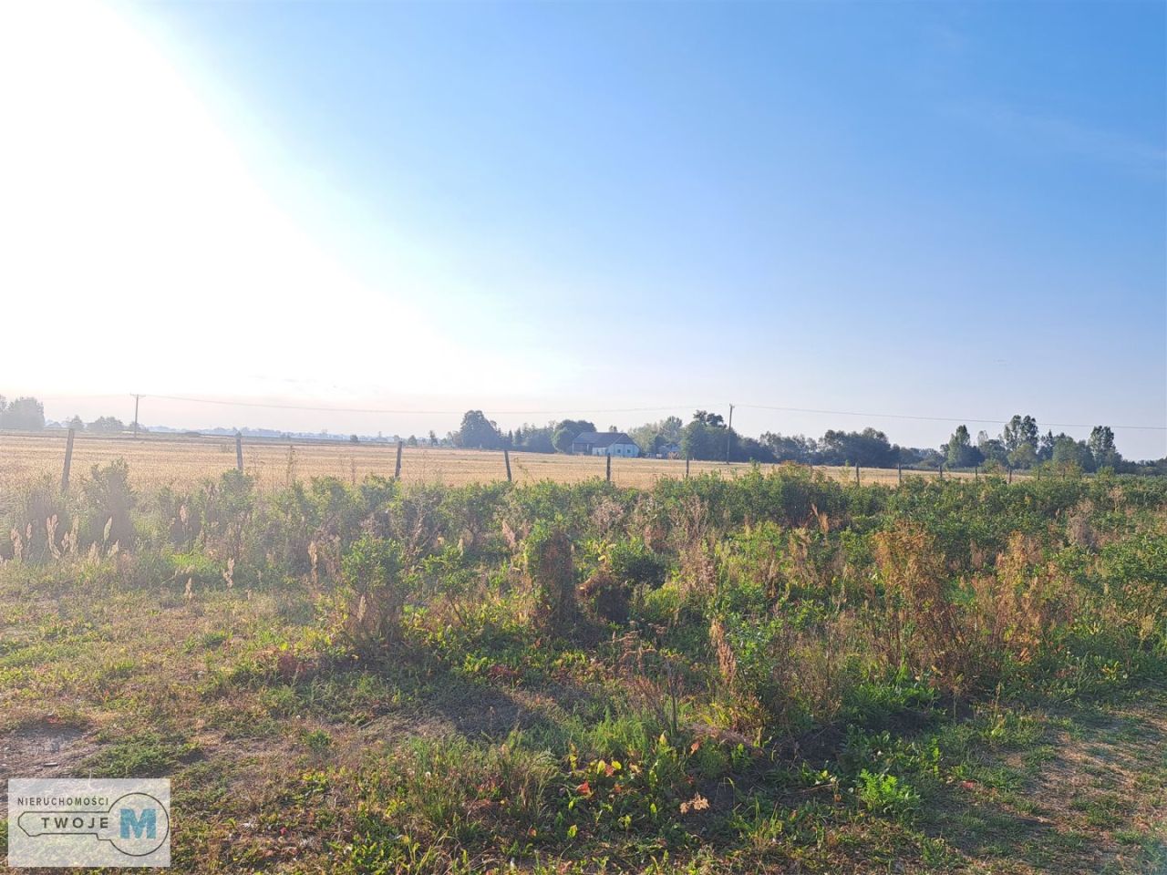 Działka rolna Czarzyzna. Zdjęcie 4