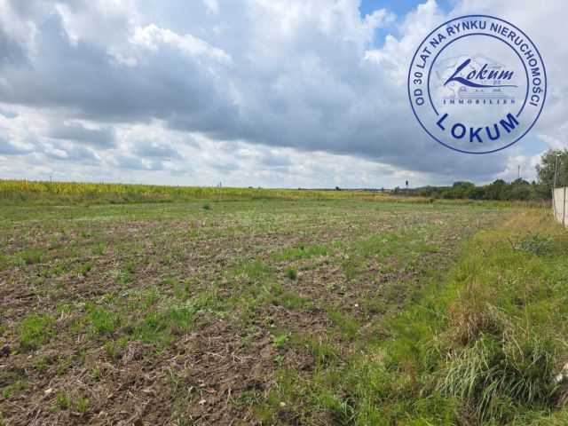 Działka inwestycyjna Kąkolewo, ul. Malwowa. Zdjęcie 3