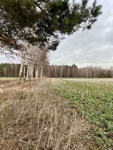 Działka budowlana Rozworzyn. Zdjęcie 1