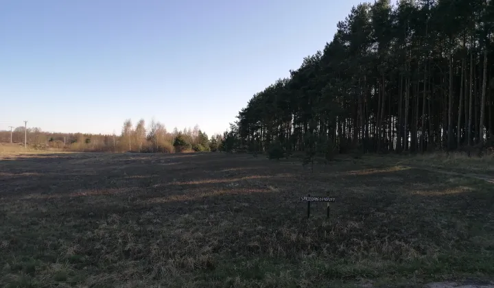 Działka budowlana Wilczeniec Fabiański