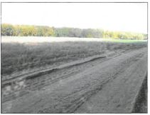 Działka rolna Chocim. Zdjęcie 3