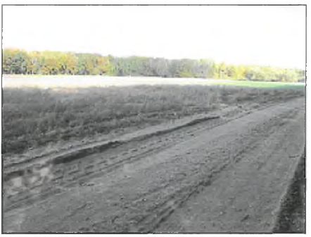 Działka rolna Chocim. Zdjęcie 4