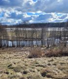 Działka budowlana Czarna Woda, ul. Starowiejska. Zdjęcie 1