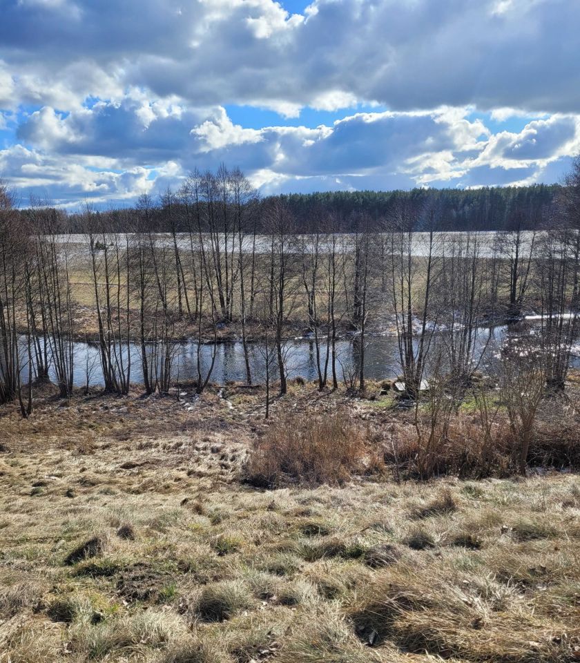 Działka budowlana Czarna Woda, ul. Starowiejska. Zdjęcie 2