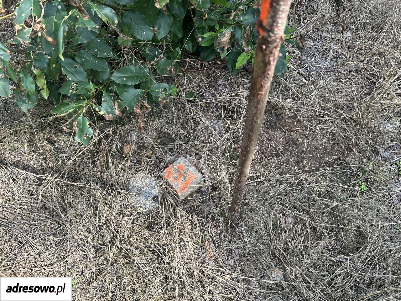 Działka budowlana Owczegłowy. Zdjęcie 7