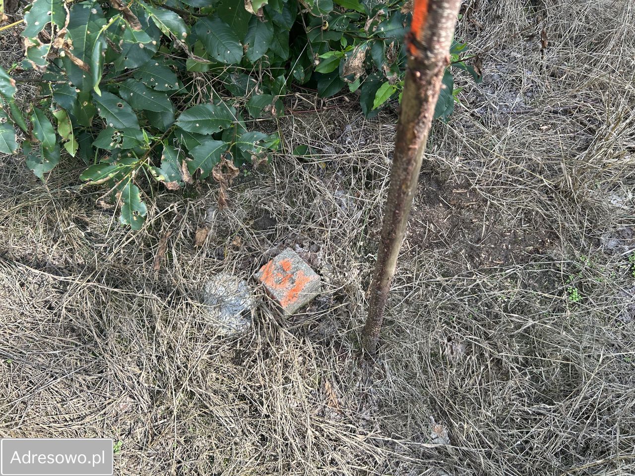 Działka Owczegłowy. Zdjęcie 7