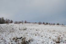 Działka rolna Bukowina Tatrzańska, ul. Wierch Rusiński. Zdjęcie 1