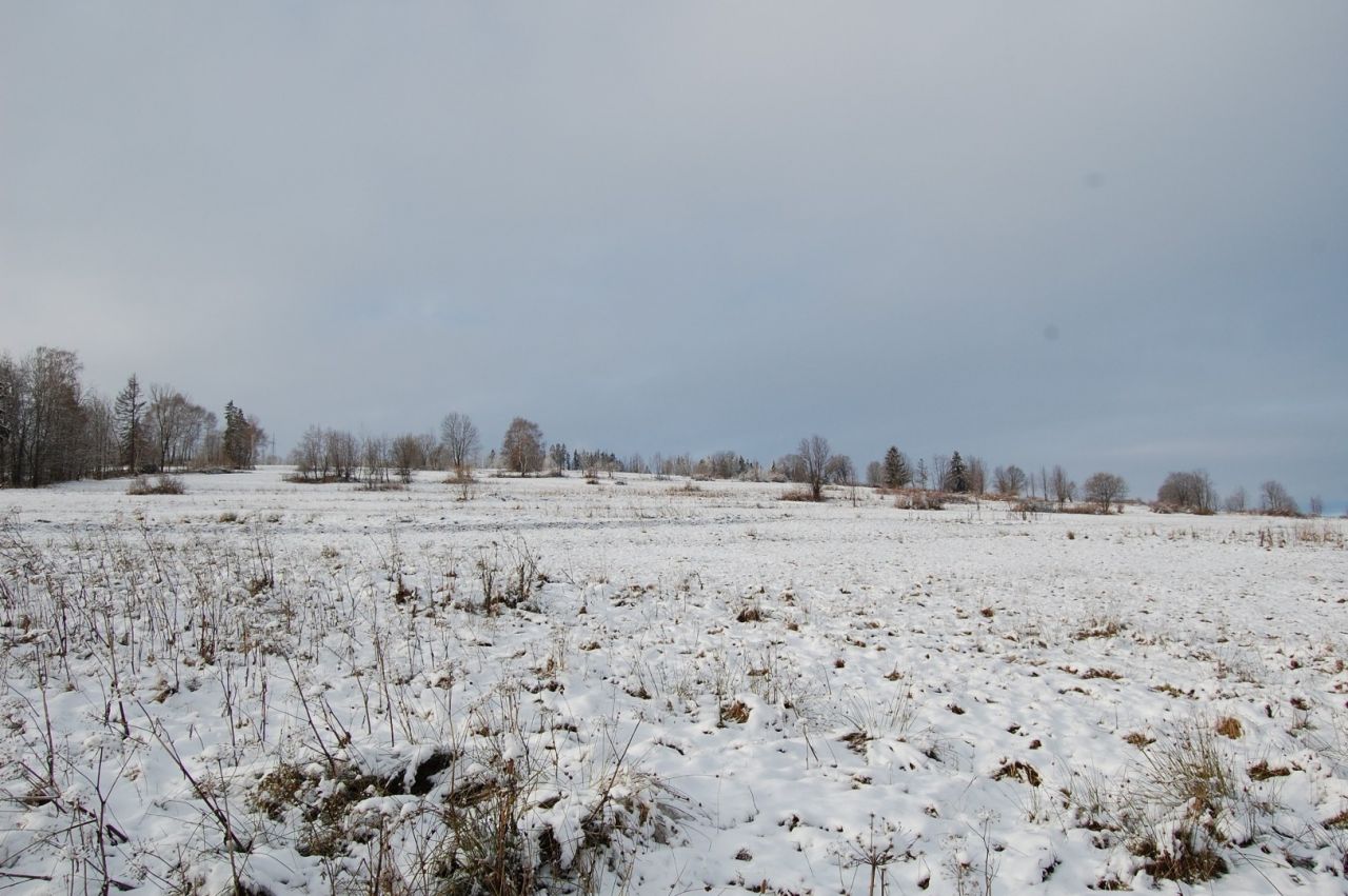 Działka rolna Bukowina Tatrzańska, ul. Wierch Rusiński. Zdjęcie 2