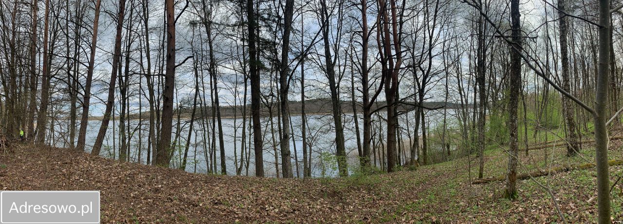 Działka leśna Pluszkiejmy. Zdjęcie 8
