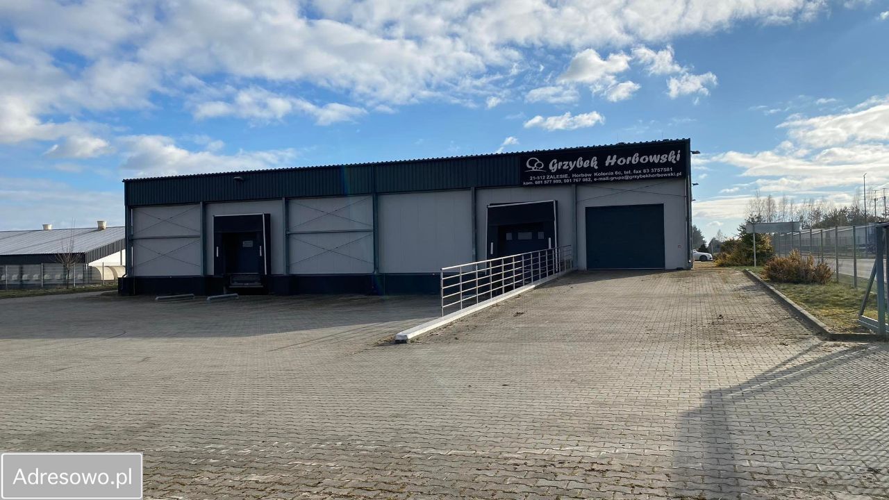 Hala/magazyn Horbów-Kolonia. Zdjęcie 2