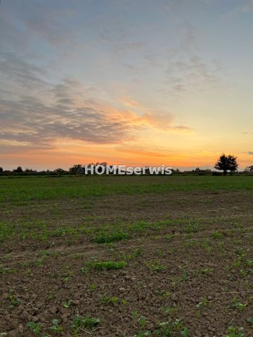 Działka rolna Szewna, ul. Grelecka. Zdjęcie 3