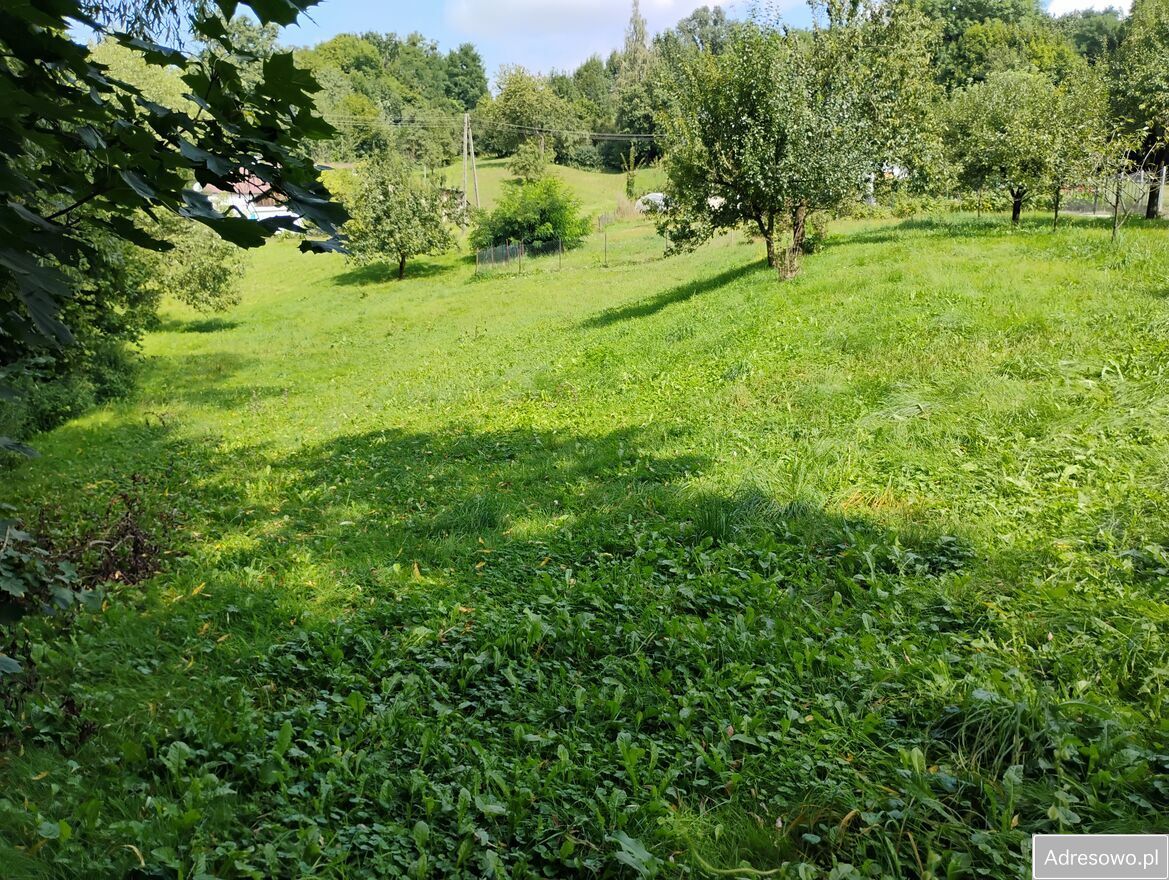 Działka budowlana Góra Świętej Anny. Zdjęcie 9