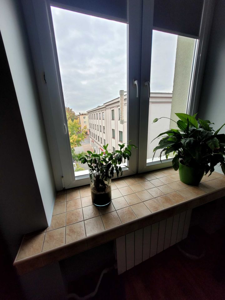 Mieszkanie 2-pokojowe Mielec, ul. Aleksandra Fredry