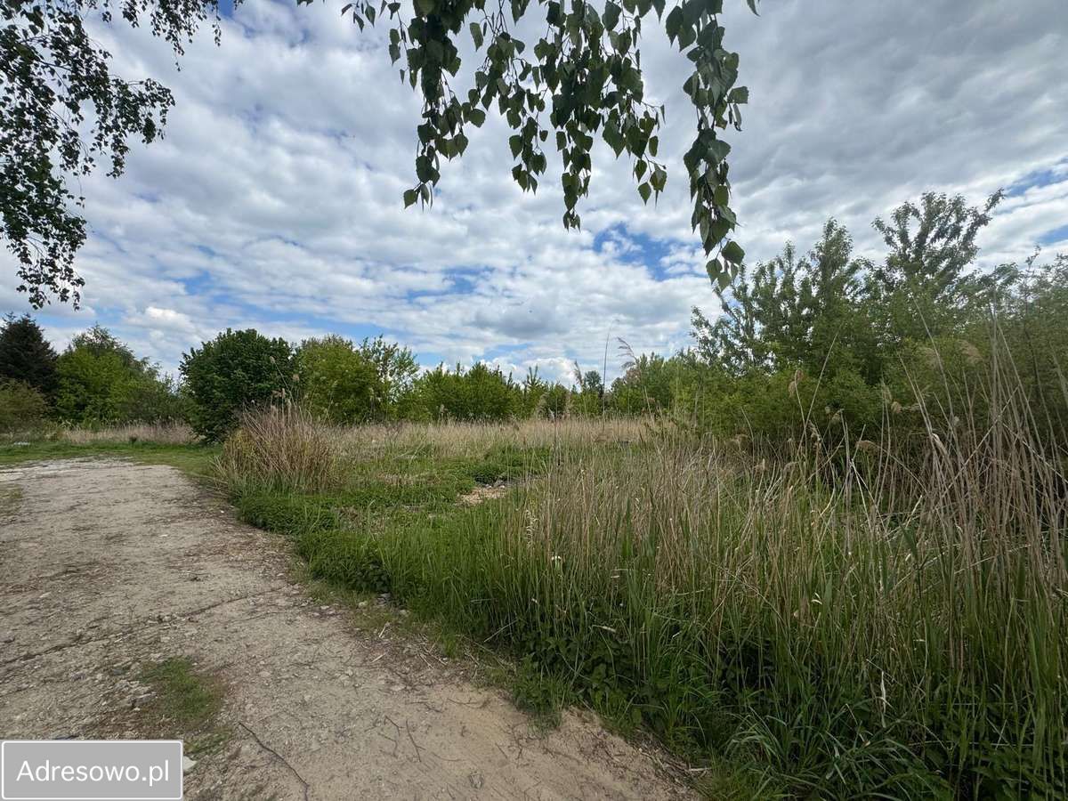 Działka siedliskowa Konstantynów Łódzki. Zdjęcie 8