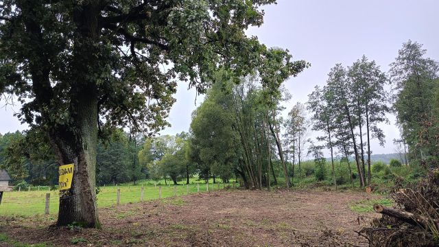 Działka rolno-budowlana Szczepkowo-Giewarty. Zdjęcie 1