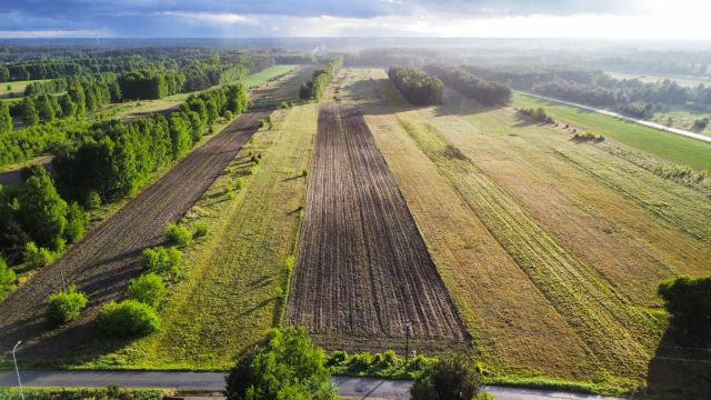 Działka budowlana Ostrowy nad Okszą. Zdjęcie 8