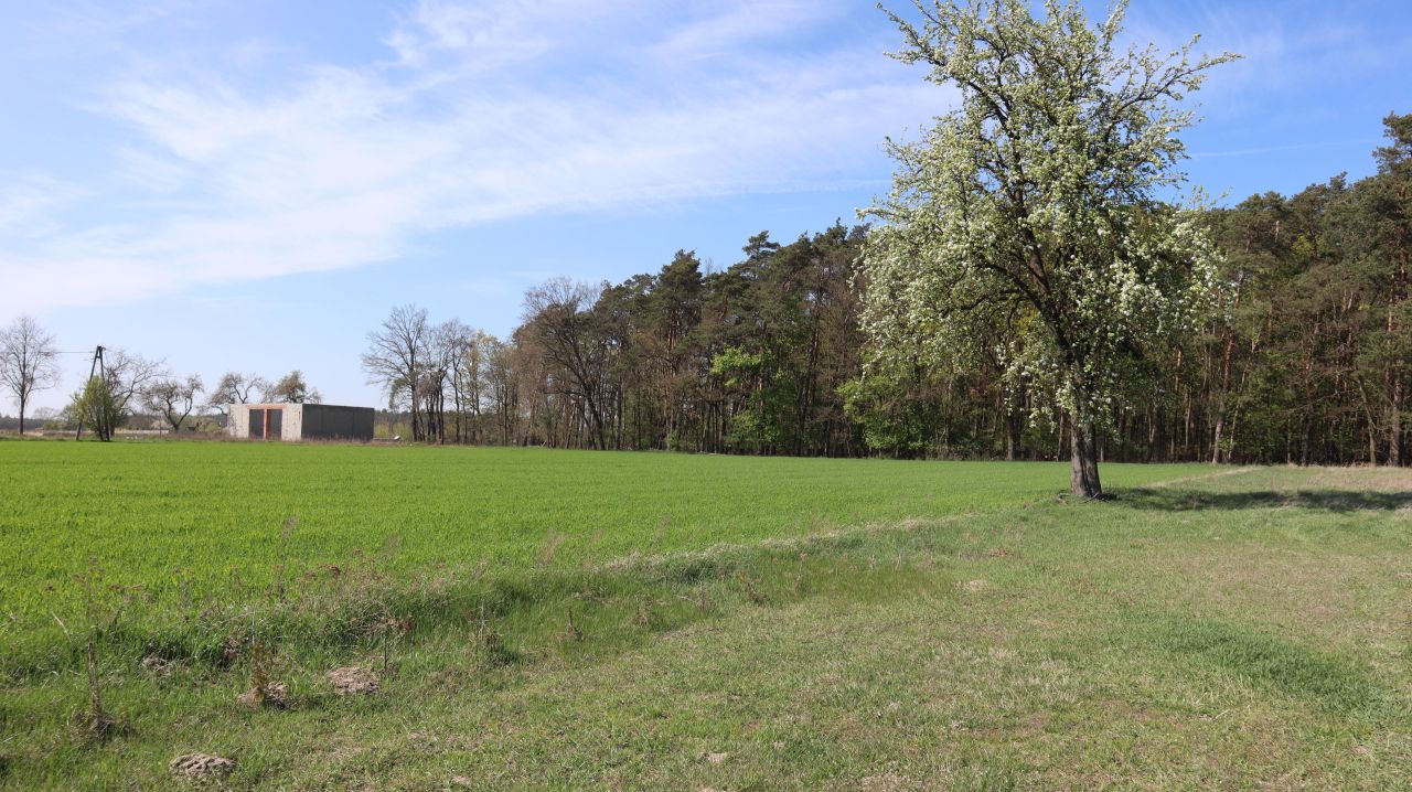 Działka budowlana Charbice Dolne, Charbice Dolne 31b. Zdjęcie 7