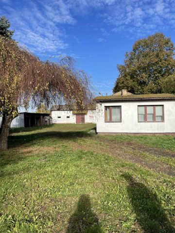 Działka budowlana Turowola. Zdjęcie 1