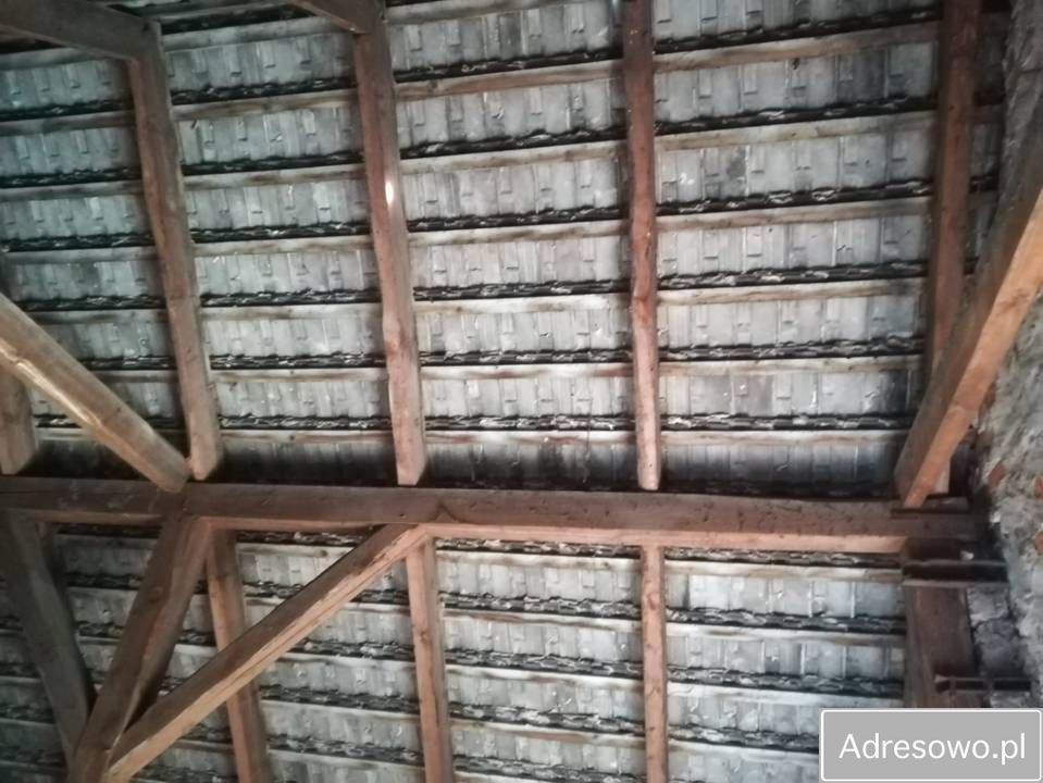 Nieruchomość komercyjna Opole. Zdjęcie 2