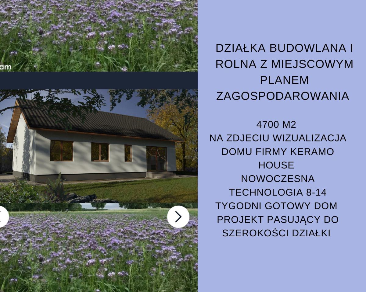 Działka rolno-budowlana Janowice. Zdjęcie 1