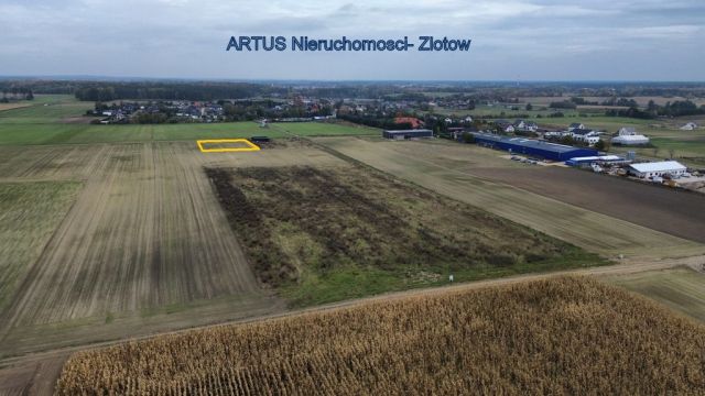 Działka inwestycyjna Blękwit. Zdjęcie 4