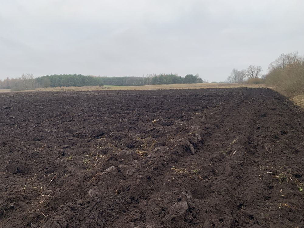 Działka rolna Wronowice. Zdjęcie 4