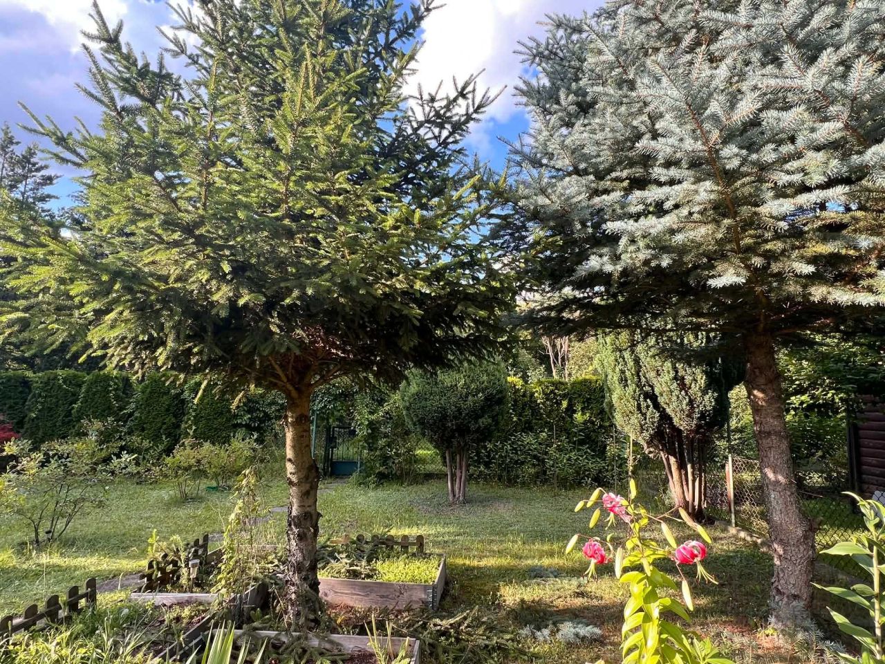 Działka rod Warszawa Bemowo. Zdjęcie 2