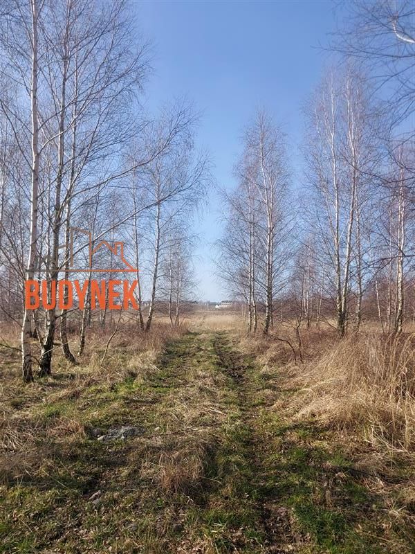 Działka Darłowo, ul. Kwiatowa. Zdjęcie 12