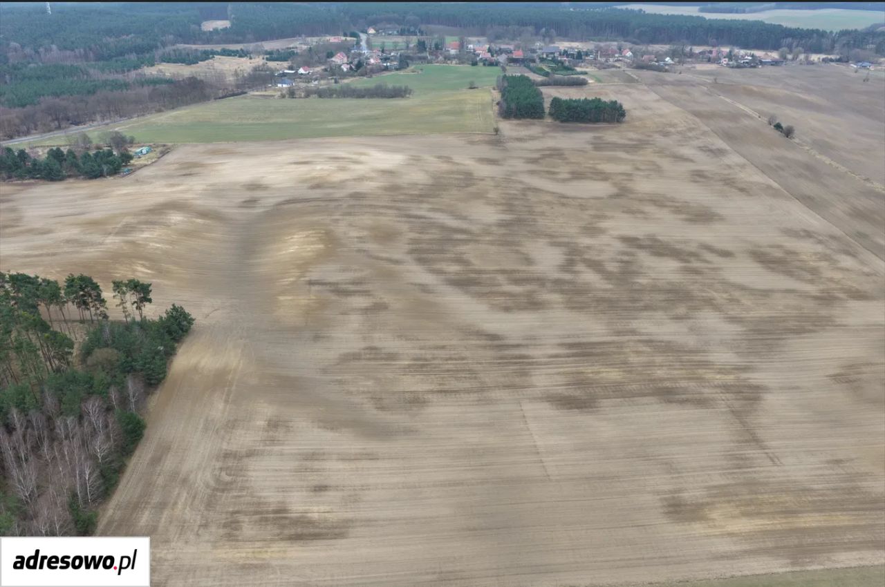 Działka budowlana Gronów. Zdjęcie 1