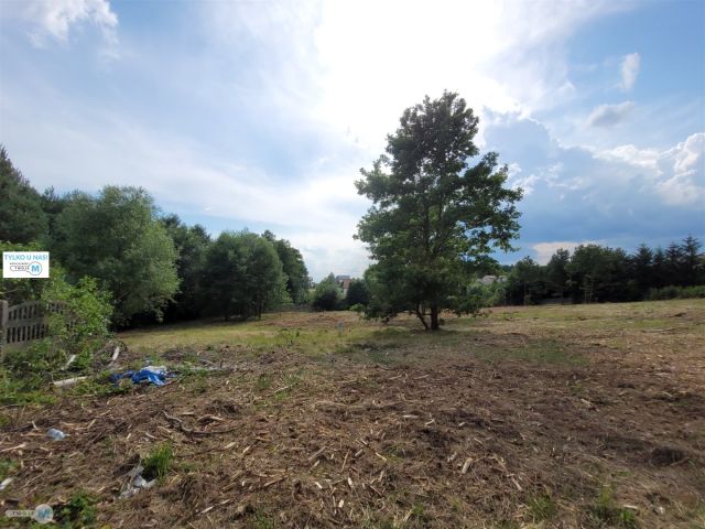 Działka inwestycyjna Kostomłoty Pierwsze. Zdjęcie 1