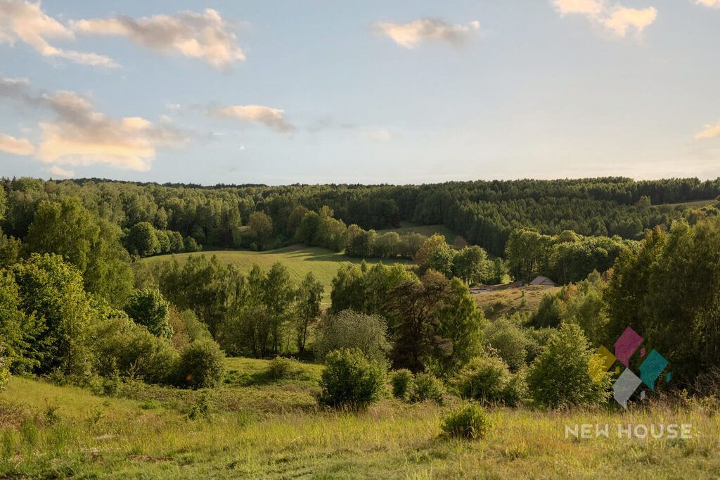 dom wolnostojący, 5 pokoi Wysoka Wieś. Zdjęcie 15