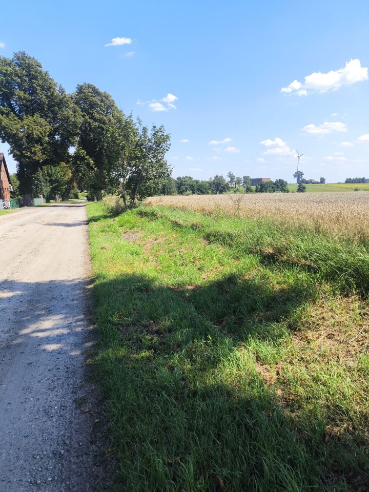 Działka rolna Karsy, Karsy 64/1. Zdjęcie 2