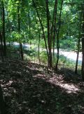 Działka leśna Smolarzyny. Zdjęcie 3