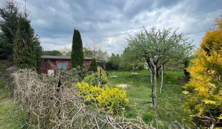 Działka rod Ciechanów