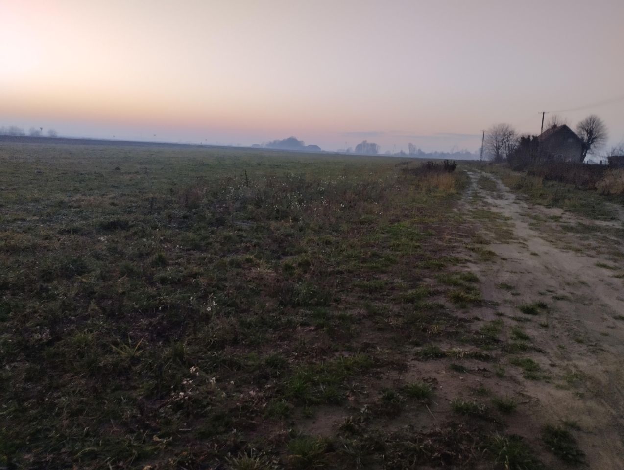 Działka rolno-budowlana Koziebrody, Brak