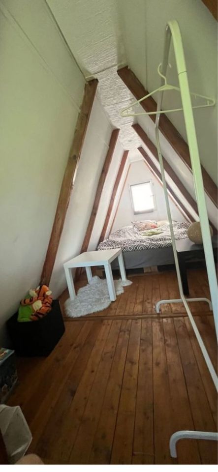 Działka rod Gorzkie Pole. Zdjęcie 6