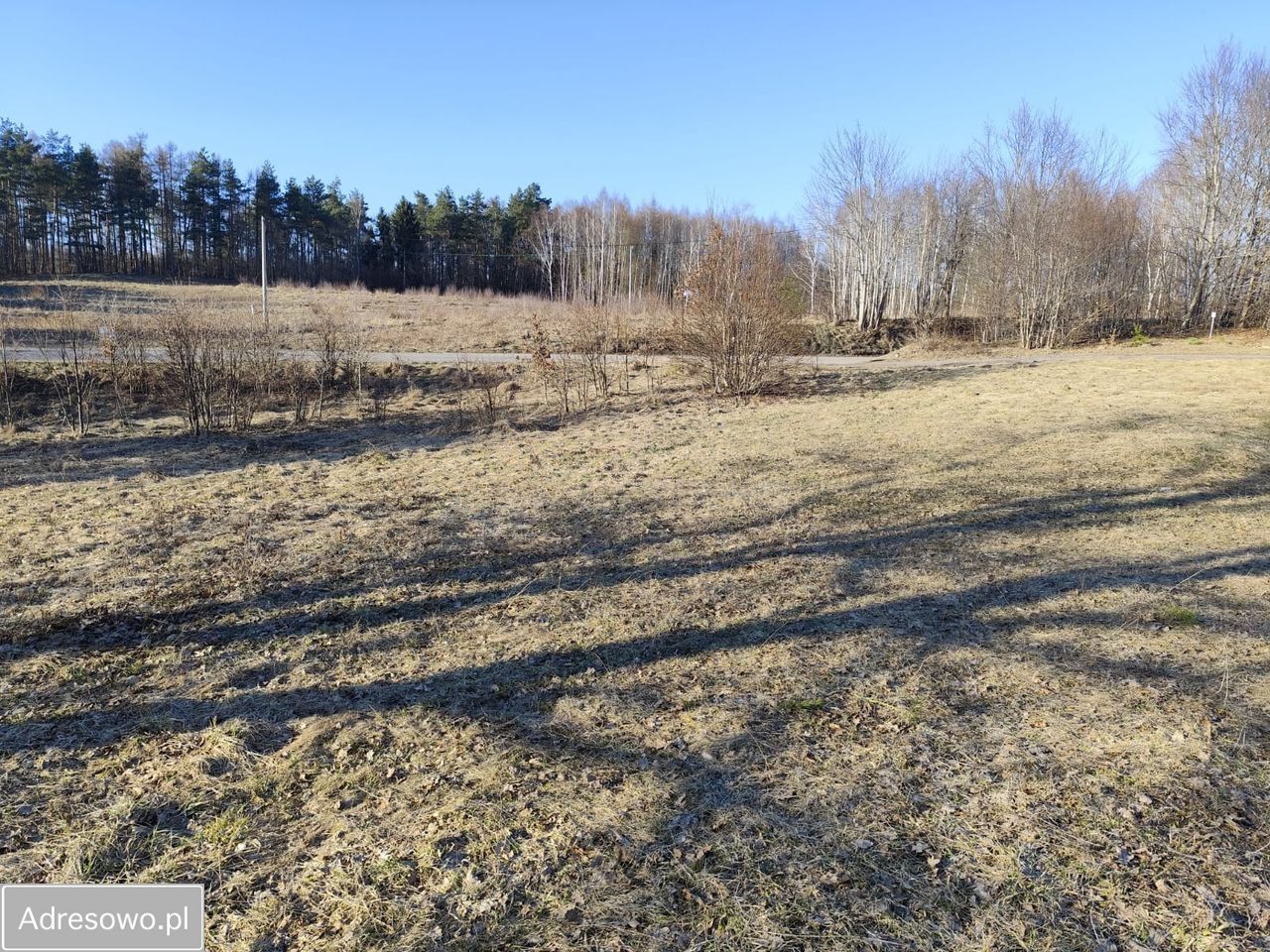 Działka rolna Ełganowo, ul. Świerkowa. Zdjęcie 3